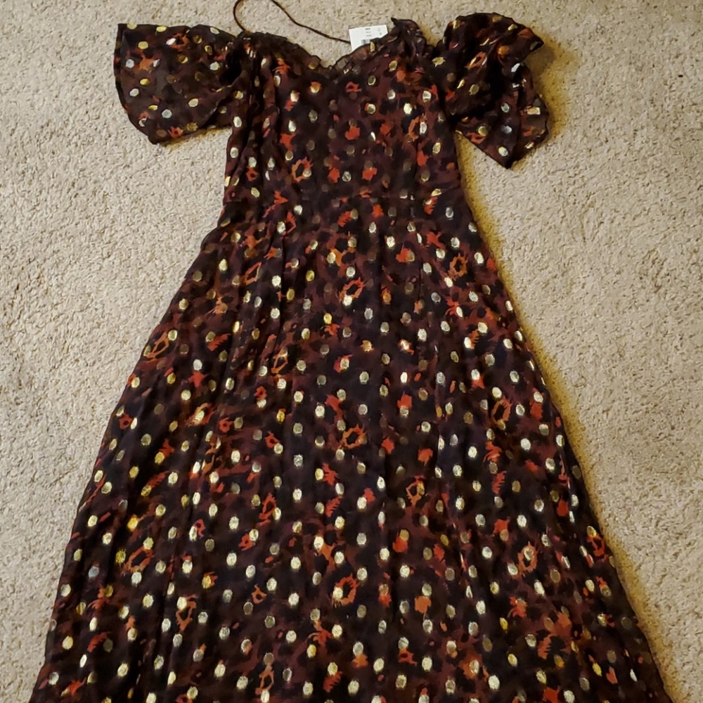 NWT Topsham Dress 6